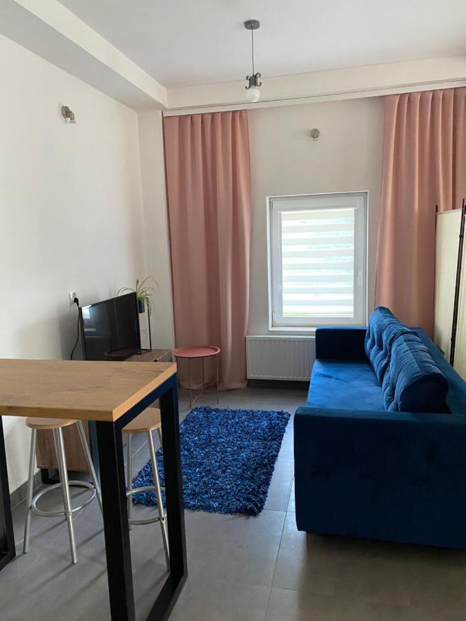 Apartamenty Pod Wierzbami Dwikozy Exterior photo