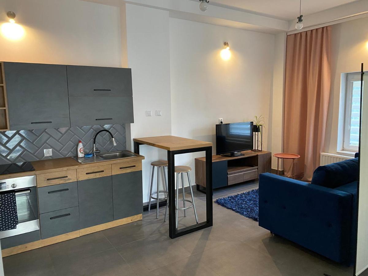 Apartamenty Pod Wierzbami Dwikozy Exterior photo